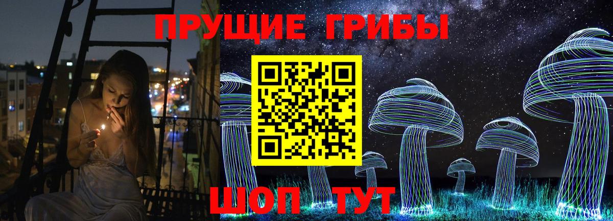 Галлюциногенные грибы Psilocybe  Вход с VPN  Ялуторовск 